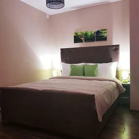 Irina Apartments Timisoara Exterior photo