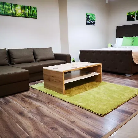 Irina Apartments Timisoara Exterior photo