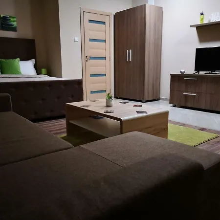 Irina Apartments Timisoara Exterior photo