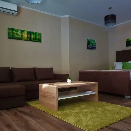 Irina Apartments Timisoara Exterior photo