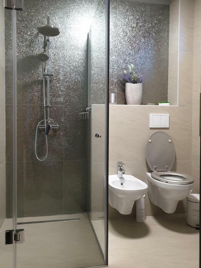 Apartament Irina Timişoara